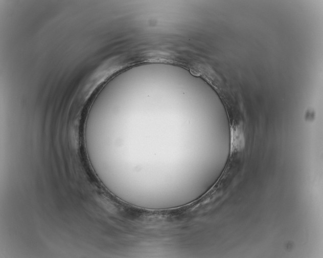 X0000096160291200802011302