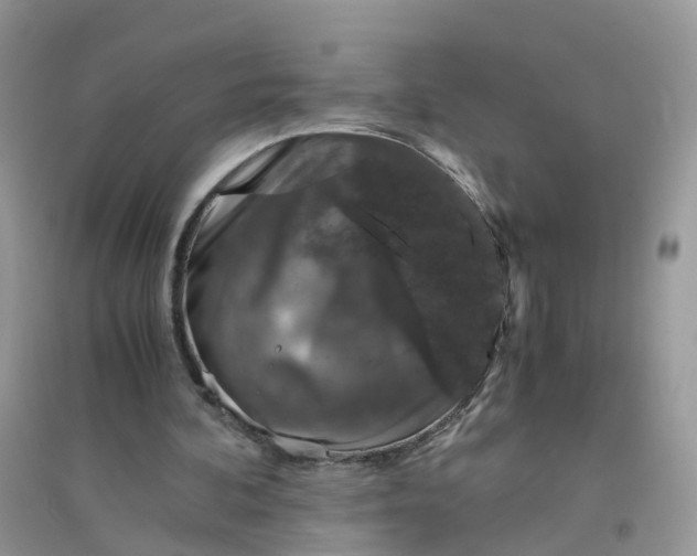 X0000096160292200802011302