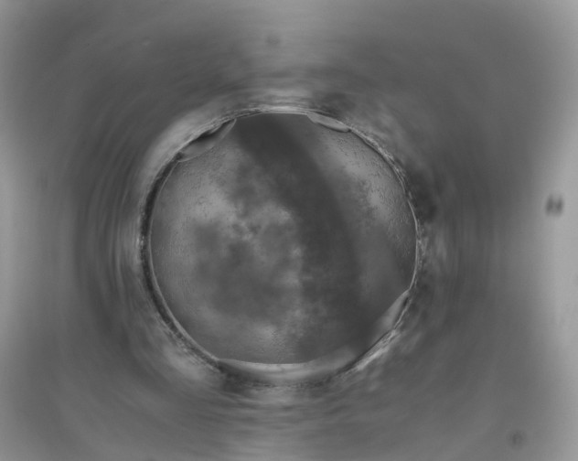 X0000096160293200802011302