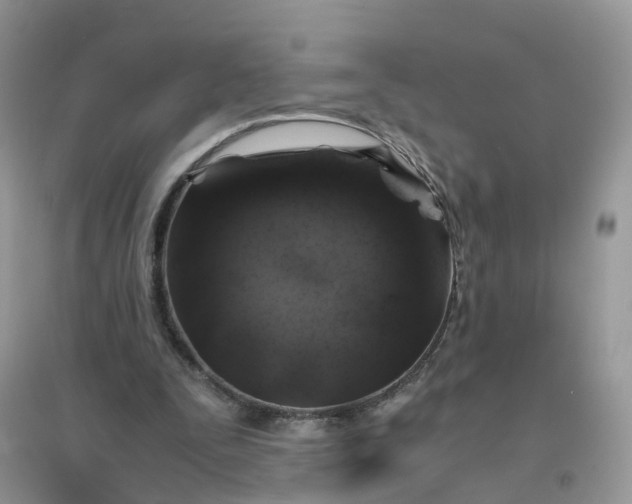 X0000096160295200802011302