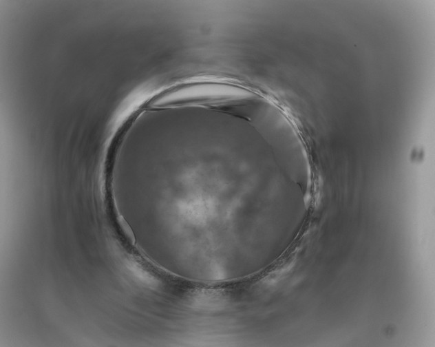 X0000096160296200802011302