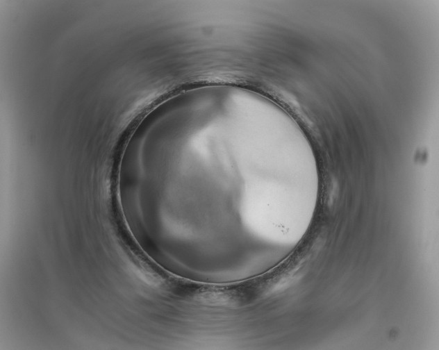 X0000096160299200802011302