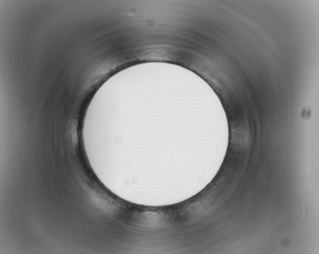 X0000096160302200802011302