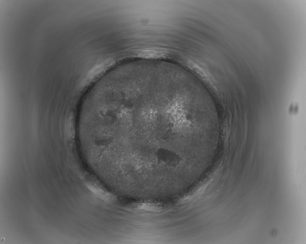 X0000096160303200802011302