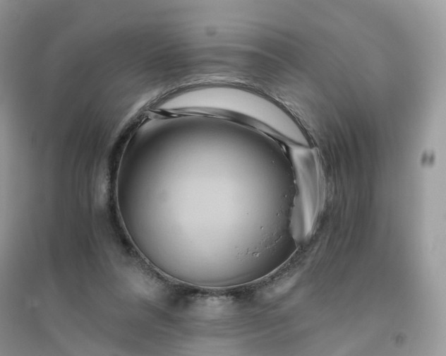 X0000096160304200802011302