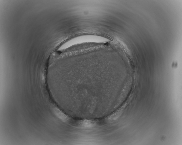 X0000096160305200802011302