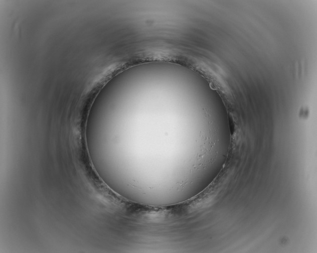 X0000096160306200802011302