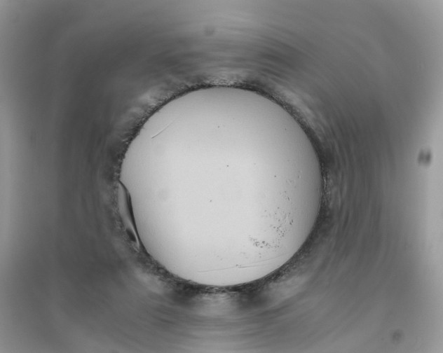 X0000096160307200802011302