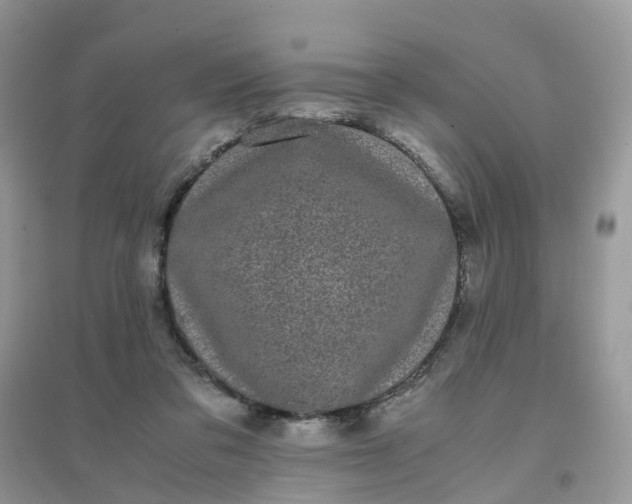 X0000096160309200802011302