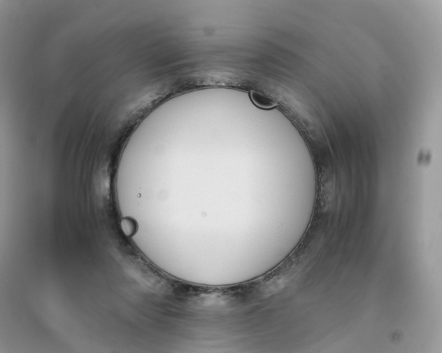 X0000096160310200802011302