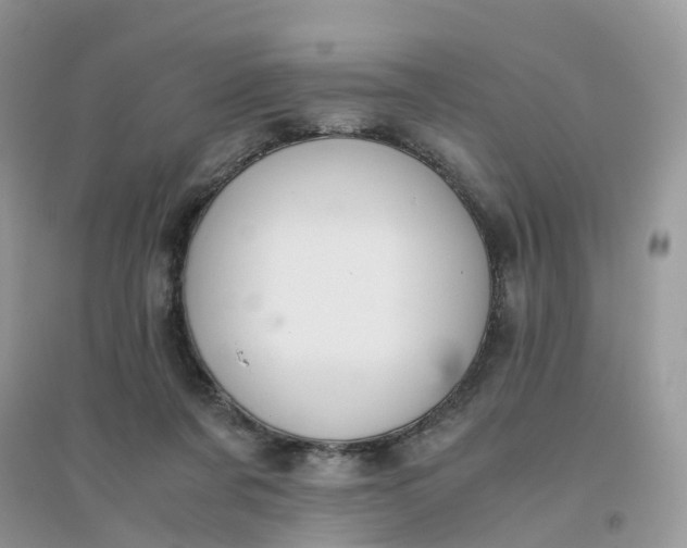 X0000096160311200802011302