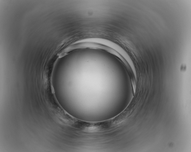 X0000096160312200802011302