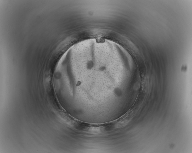 X0000096160314200802011301