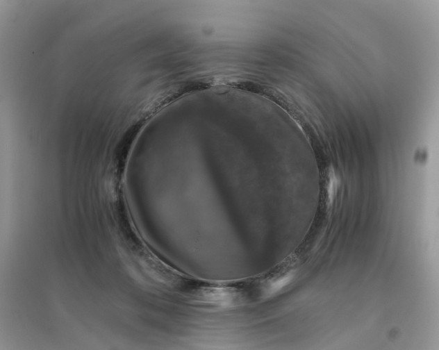 X0000096160316200802011301