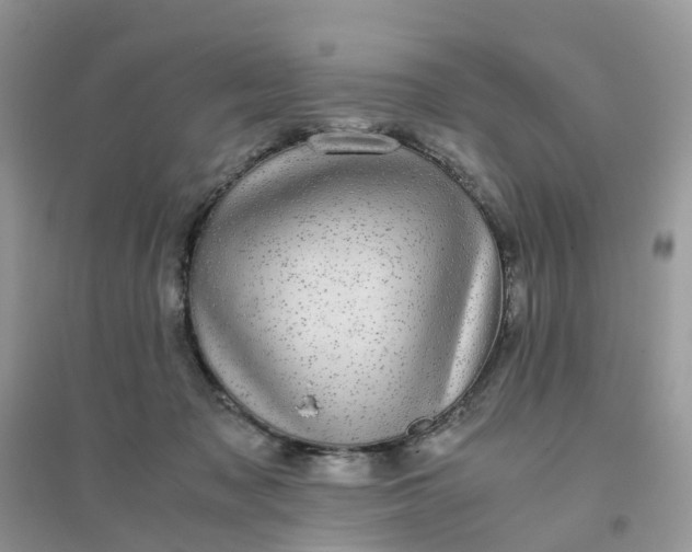 X0000096160317200802011301