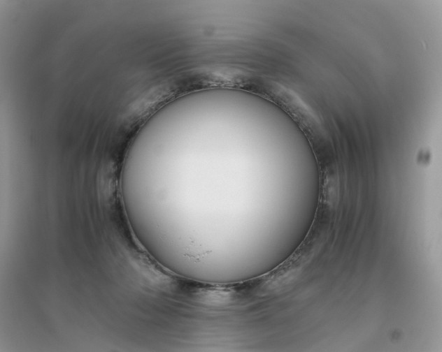 X0000096160318200802011301