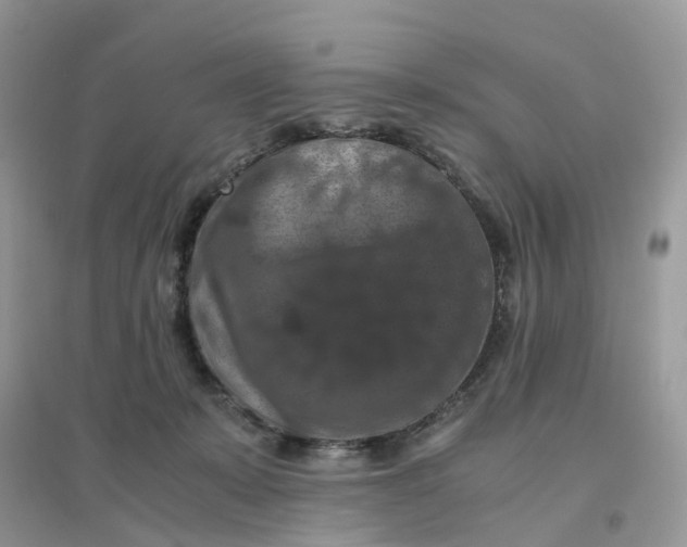 X0000096160319200802011301