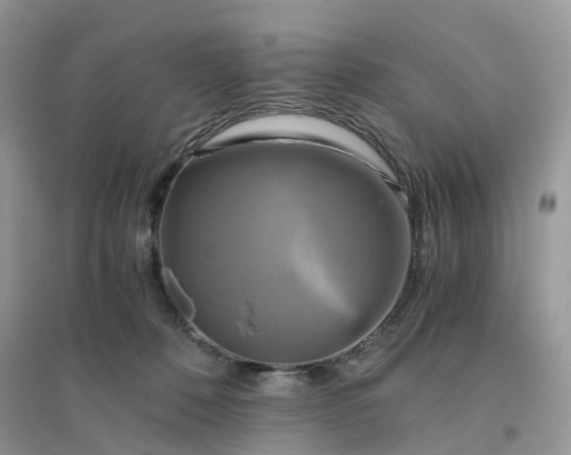 X0000096160320200802011301