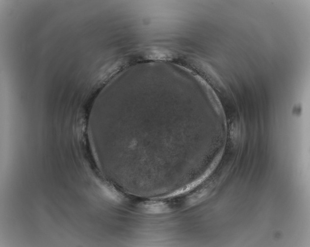 X0000096160322200802011301