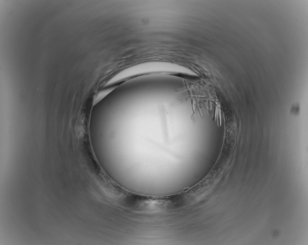 X0000096160323200802011301