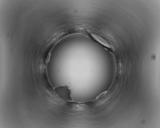 X0000096160324200802011301