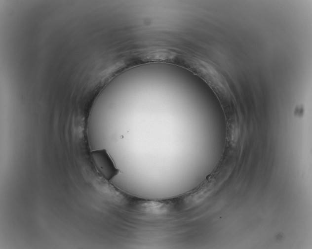 X0000096160326200802011301