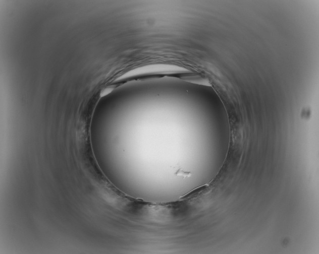 X0000096160327200802011301