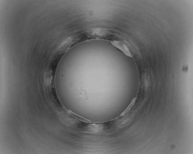 X0000096160328200802011301