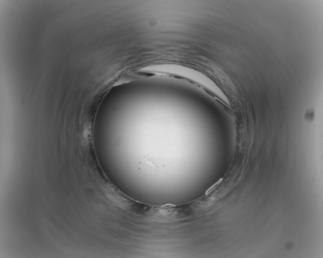 X0000096160329200802011301