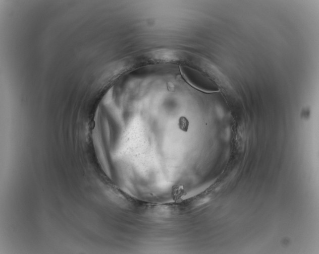 X0000096160330200802011301