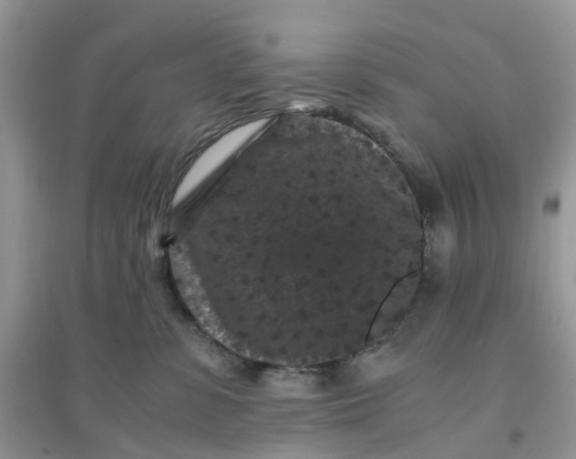 X0000096160331200802011301