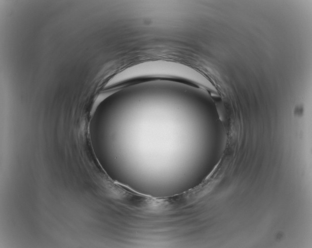 X0000096160333200802011301