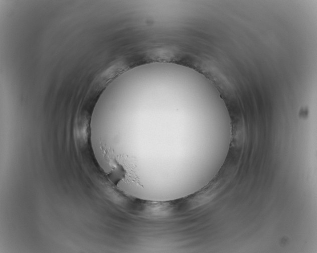 X0000096160334200802011301