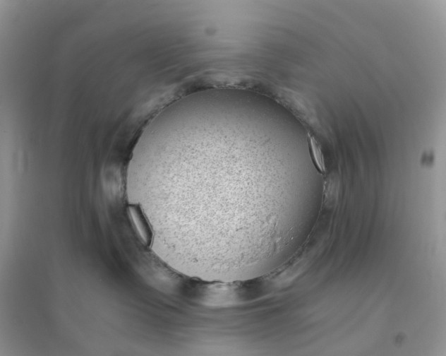 X0000096160335200802011301