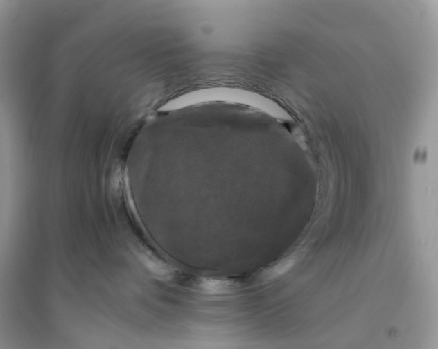 X0000096160336200802011301