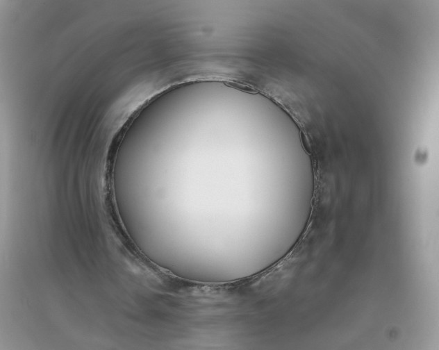 X0000096160338200802011301