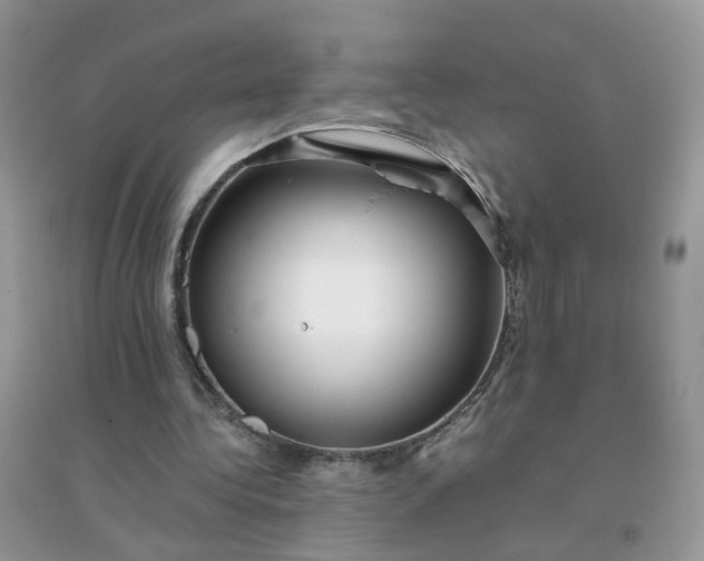 X0000096160340200802011301