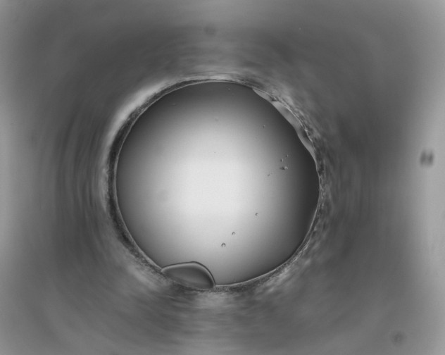 X0000096160342200802011301