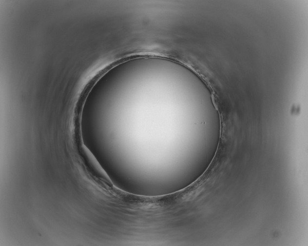 X0000096160344200802011301