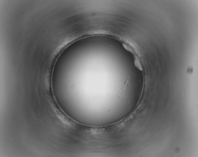 X0000096160345200802011301