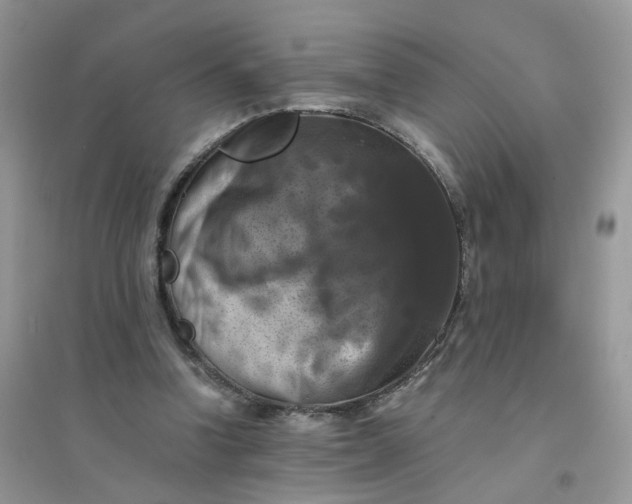 X0000096160346200802011301