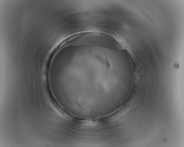 X0000096160347200802011301