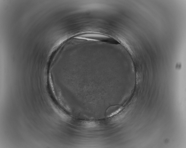 X0000096160349200802011301