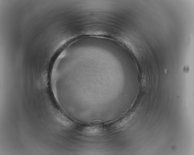 X0000096160351200802011301