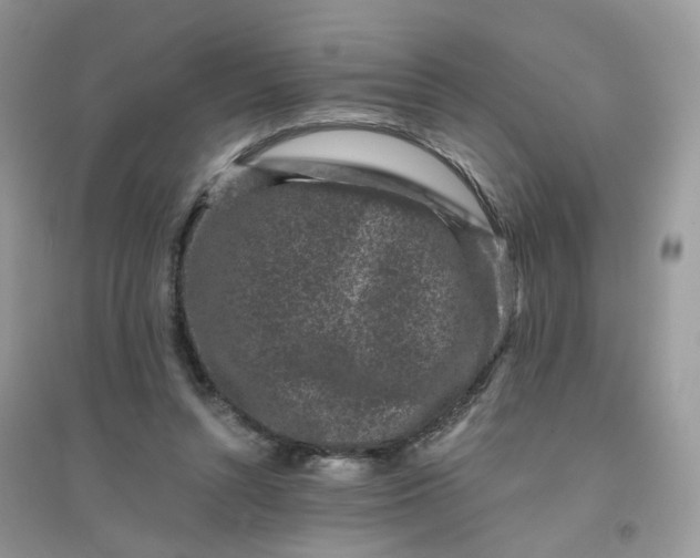 X0000096160352200802011301