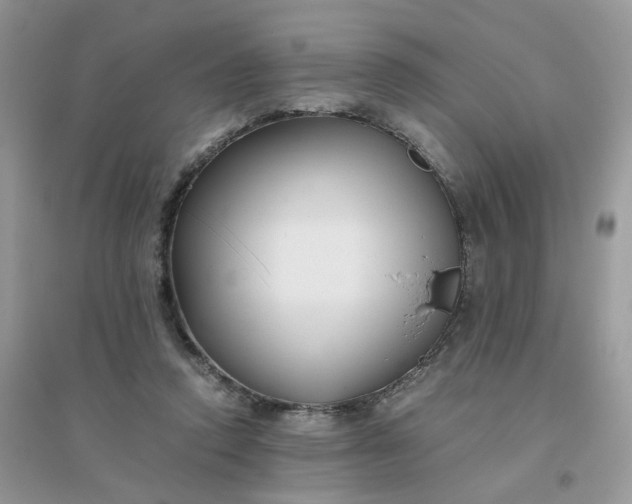 X0000096160354200802011301