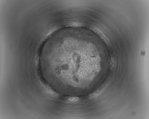 X0000096160355200802011301