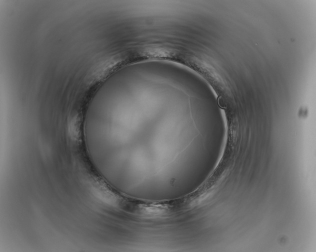 X0000096160359200802011301