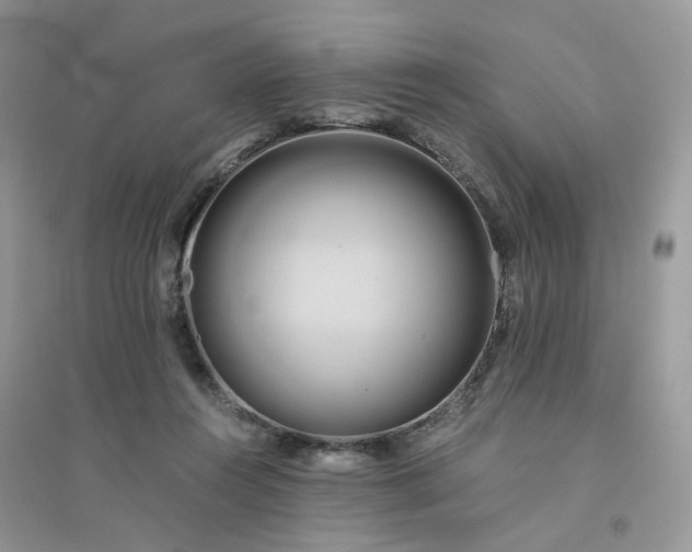 X0000096160360200802011301