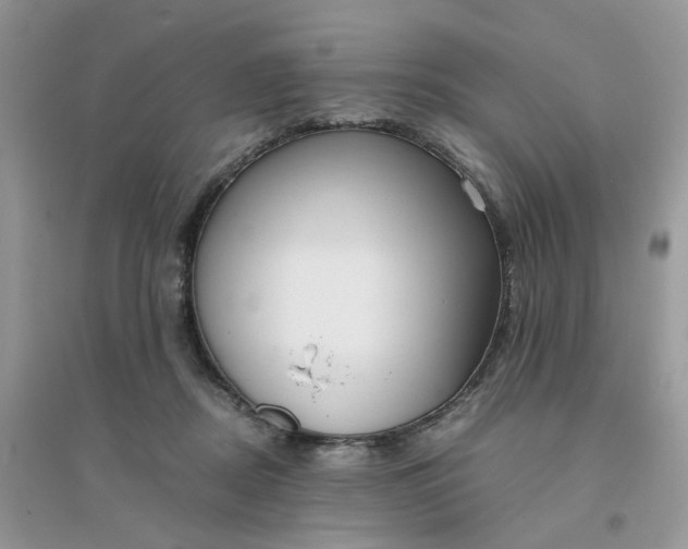 X0000096160362200802011301